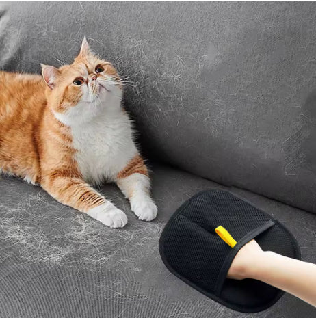Pet Hair Remover Glove – Remove Fur from Sofas, Clothes & Cars